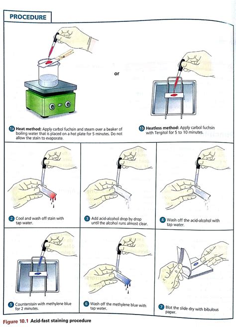 Pin on Lab