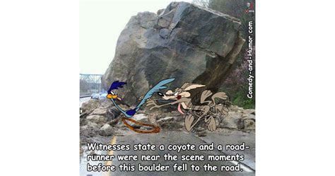 Coyote and Roadrunner - Comedy and Humor