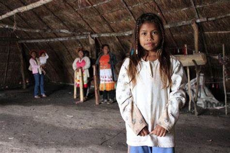 Guarani: Indigenous People of the Amazon - Amazon Aid