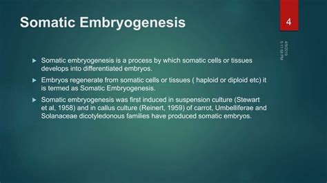 Embryogenesis | PPT