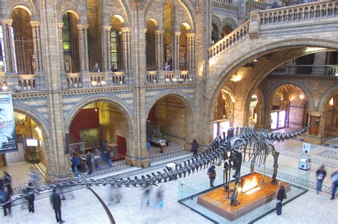 Natural History Museum in London - A Prestigious Museum in South ...