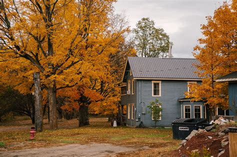 Fall Foliage NC's Guide: Best Spots & Timing 2024