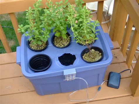 Do-It-Yourself Hydroponics - Garden & Greenhouse