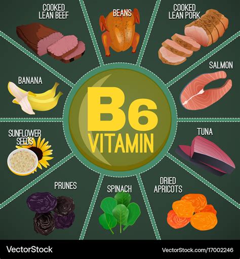 Vitamin b6 foods Royalty Free Vector Image - VectorStock