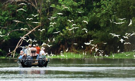 Amazon River Cruise | Magazine Articles | WWF