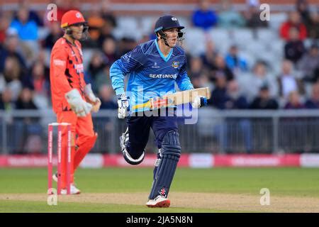 Harry Brook batting for Yorkshire Vikings Stock Photo - Alamy