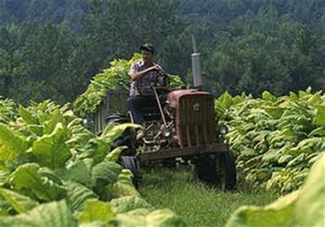 Tobacco Farming Equipment