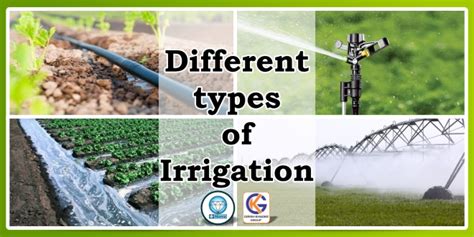 Different Types of irrigation & Irrigation Systems