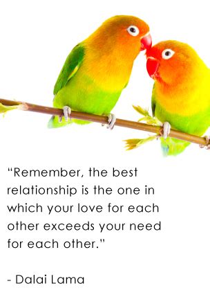 Quotes About Love And Birds. QuotesGram