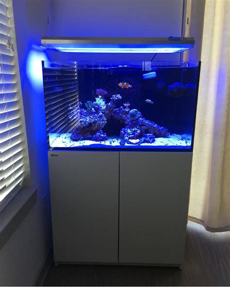 Red Sea Reefer 250 FULL SETUP - Complete Systems - Austin Reef Club