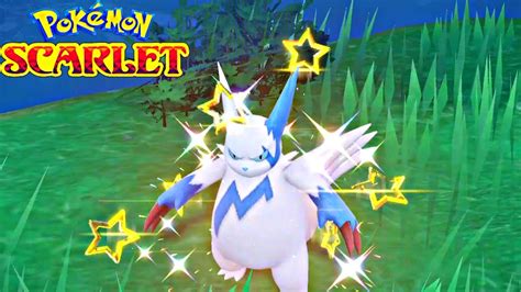 [LIVE] Shiny Zangoose in Beast Ball | Pokemon Scarlet and Violet - YouTube