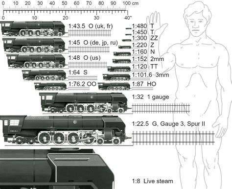 Model Train Scales: What they Mean - Midwest Model Railroad