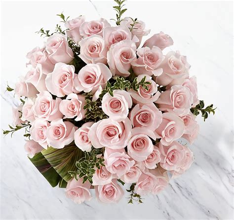 Delighted Luxury Rose Bouquet - 48 Premium Long-Stemmed Roses in ...