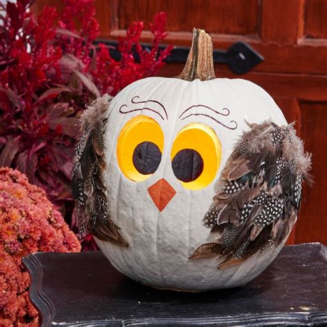 Pin on Pumpkin Decorating