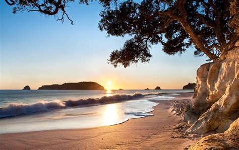 Coromandel Beach