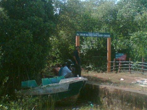 Birdwatching In Dr. Salim Ali Bird Sanctuary, India • Travel Tips