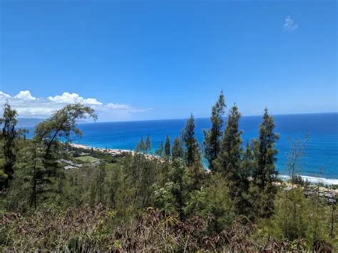 2023 Best Moderate Trails in Pupukea Paumalu Forest Reserve | AllTrails