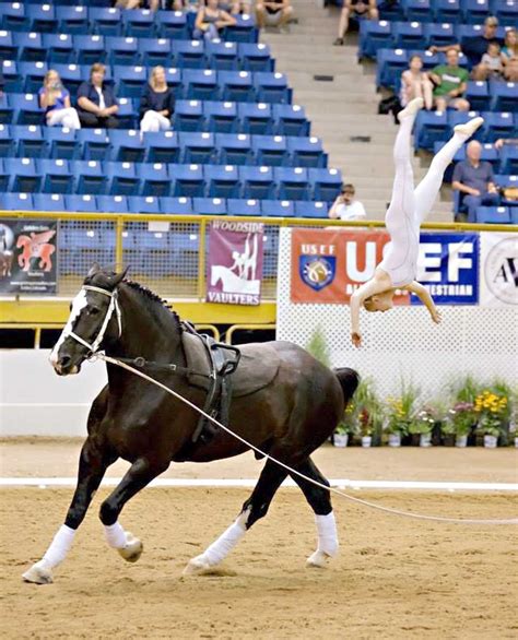 Gymnastics combines with horses to create a unique sport, horse ...