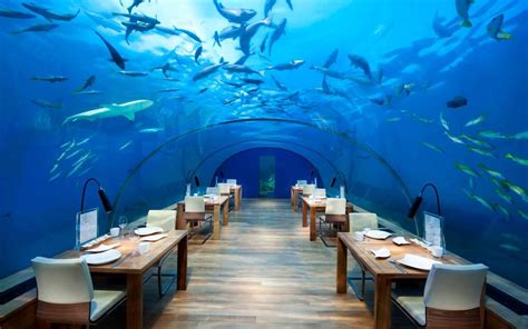 Atlantis Lunch Dubai - Scenery Adventures Ltd