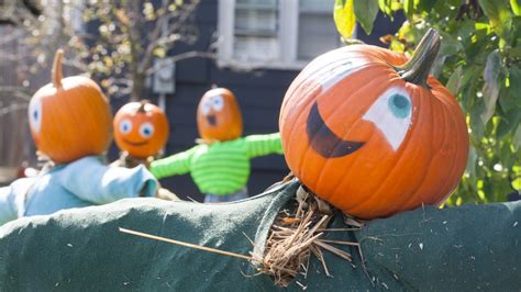 Kentville 'Pumpkin People' destroyed by vandals | CTV News