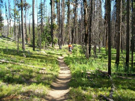 Loon Lake Trail photo || SINGLETRACKS.COM