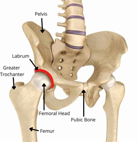 Why Does My Hip Hurt? Understanding Different Types of Hip Pain ...