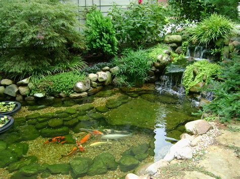 Creative Koi Pond Plans You Can Build To Complete Your home ...