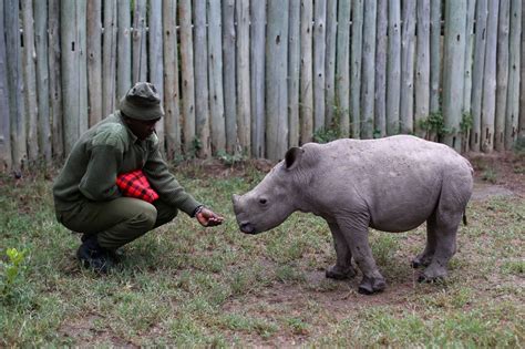 The fight against poaching must shift to empowering communities