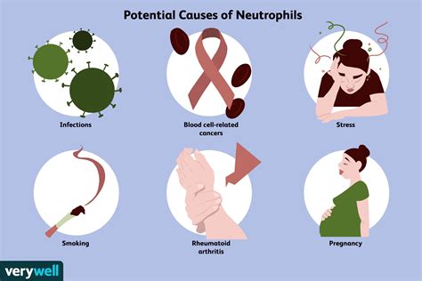 Neutrophils Function and Abnormal Results