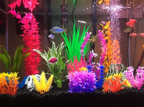 Colorful glofish tank | Fish aquarium decorations, Fish tank themes ...