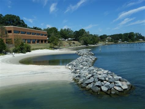 Living Shorelines