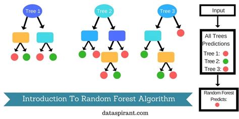 How the random forest algorithm works in machine learning