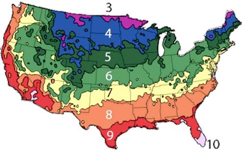 Planting Zones By Zip Code Tutorial Pics | The Best Porn Website