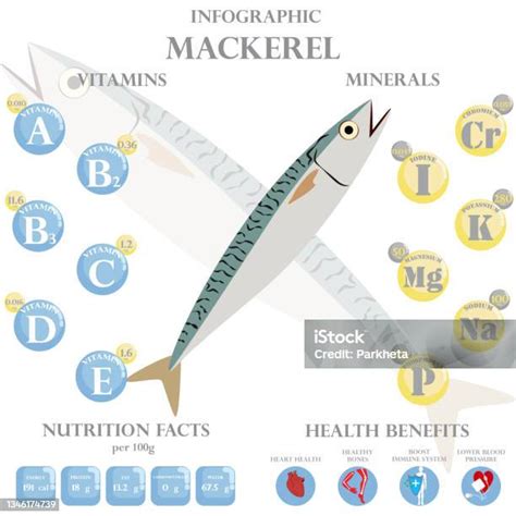 Mackerel Nutrition Facts And Health Benefits Infographic Stock ...