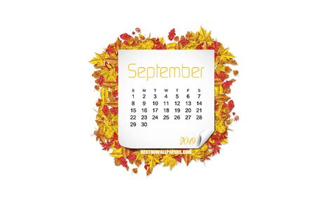 September 2019 Calendar, autumn leaves, white background, autumn frame ...