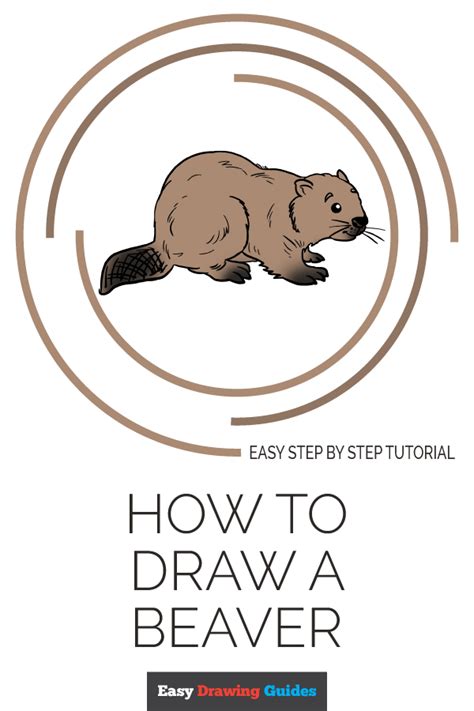 How to Draw a Beaver - Really Easy Drawing Tutorial