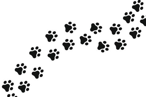 Free Vector | Paw Prints Trail Across Screen