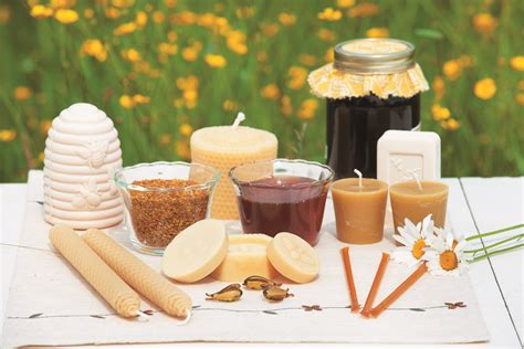 Bee products Keeping Backyard Bees