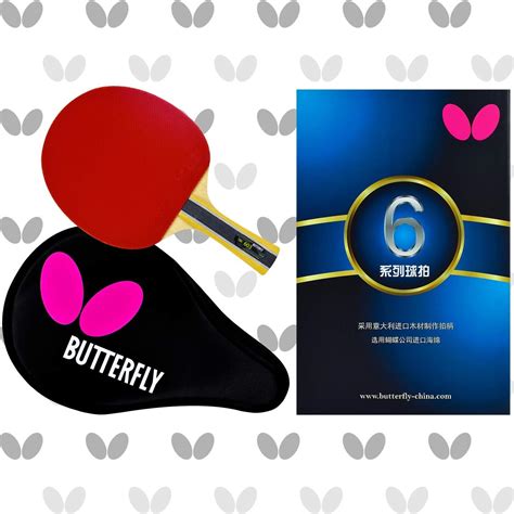 Buy Butterfly B603FL Ping Pong Paddle Set | 1 Table Tennis Racket | 1 ...