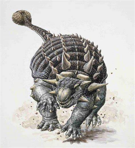 Facts About Ankylosaurus, the Armored Dinosaur