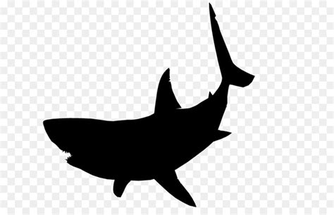 Great White Shark Silhouette at GetDrawings | Free download