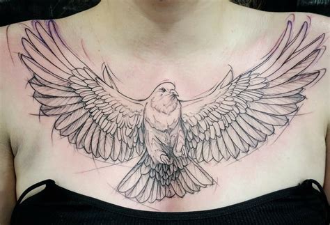 Dove Tattoo Outline