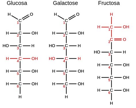 Isómeros - Labster Theory