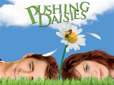 Prime Video: Pushing Daisies: The Complete First Season