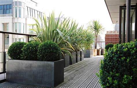 Roof Garden Design | Central London