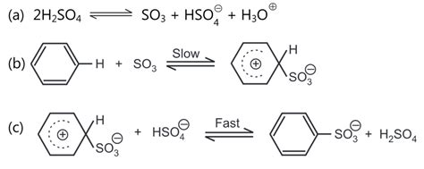 Sulfonation of Benzene - Pharmacy Scope