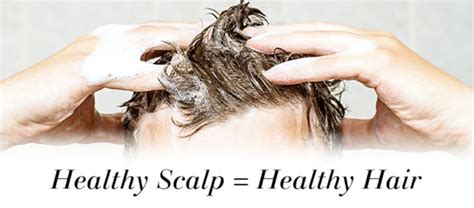 Tips & Tricks Tuesday: How to Get a Healthy Scalp – The Root Salon