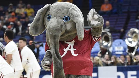 See Alabama mascot's 'inchworm' imitation