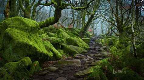 England Forest path in Padley Gorge in Derbyshire-2017 Bing Desktop ...