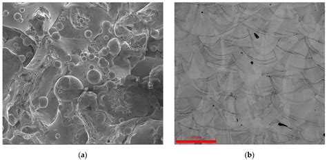 Metals | Free Full-Text | Additive Manufacturing of AISI 316L Stainless ...